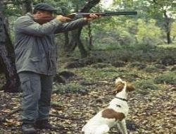 Avcılık için çağdaş eğitim