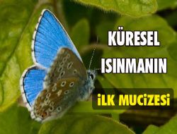 Küresel ısınmanın ilk mucizesi