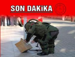 Şüpheli Paketten Hamsi Çıktı