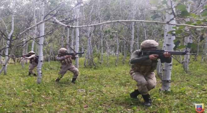 13 PKK/YPG'li terörist etkisiz hale getirildi