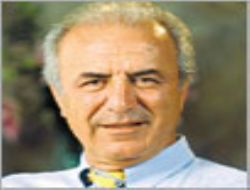 Vatan başyazarı Güngör Mengi'den TSK'ya Çağrı