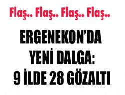 Ergenekon'da yeni dalga: 28 kişi gözaltında 
