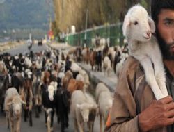 Hayvan satıcıları eğitimden geçti