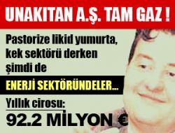 Unakıtan enerji sektörüne de girdi