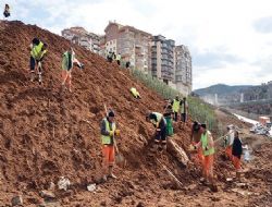 Akpınar'a 30 bin ağaç