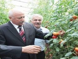 Vali Yüksel çiftçinin yanındaydı