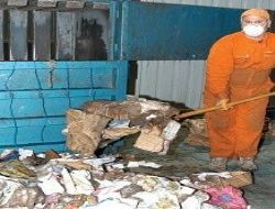 Atık plastik ağaç yaşatıyor