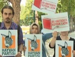Şehre hayvan gibi bakın!