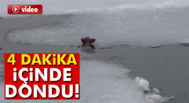 4 dakika içinde dondu