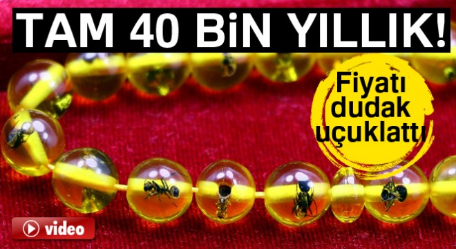 40 bin yıllık karınca fosilli tespih: Fiyatı 7 bin dolar