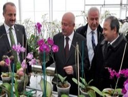 Yüksel'in hayali çiçek borsası'