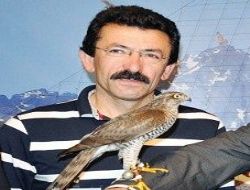 Atmaca'ya yoğun ilgi