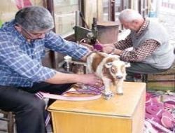 Yıkmatikler Beypazarı'ndan