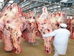 İthal et de çare olmadı