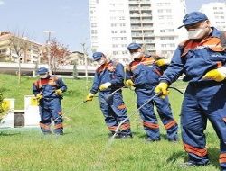 Haşereye GPS'li mücadele
