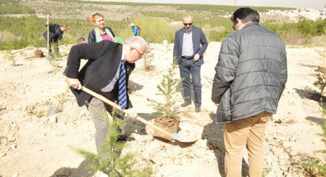 50. yıla 500 fidan