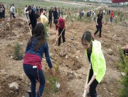 Gölbaşı'nda ağaç dikimi
