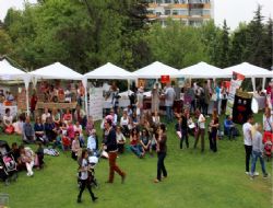 Farkındalık festivali