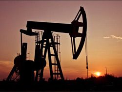 Türkiye'de ne kadar petrol var?
