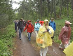 Öğrenciler AB İçin 'Kara Akbaba' İnceledi