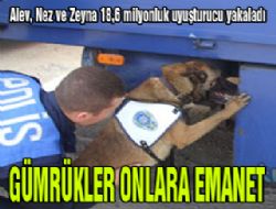 Gümrükler onlara emanet!