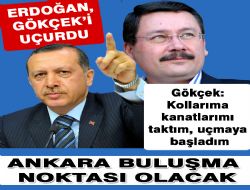 Çılgın proje, Gökçek'i uçurdu