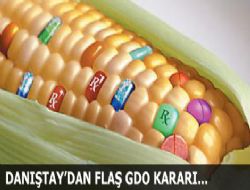 Danıştay'ın GDO'lu ürünler kararı