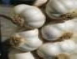 Çiğ ya da pişmiş ama mutlaka tüketin