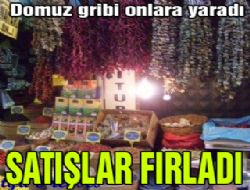 Domuz gribi aktarlara yaradı