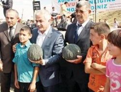 Çubuk'ta kavun şenliği 