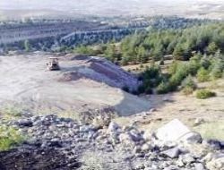 Ağaçları mezara gömdüler!