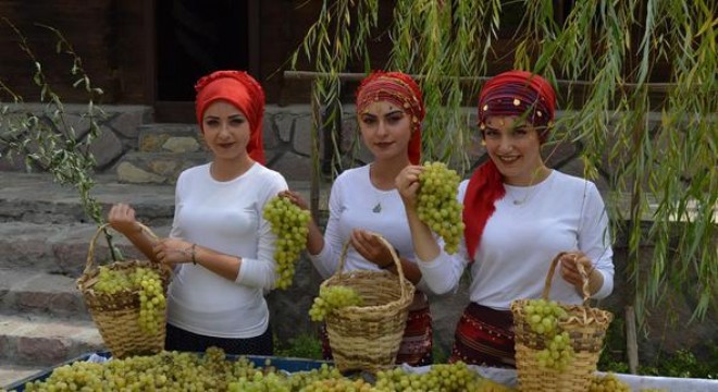 Altınköy'de bağ bozumu