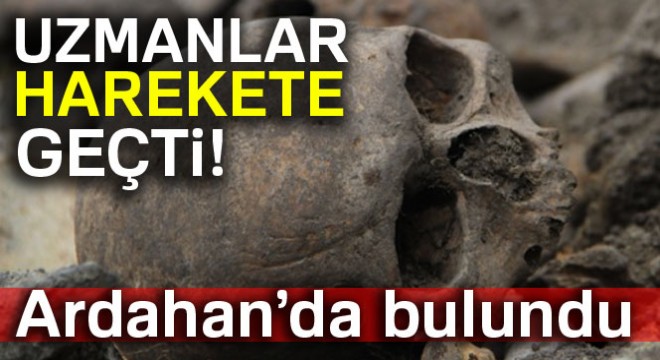 Ardahan'da kafatası ve insan kemikleri bulundu