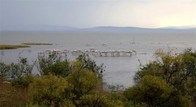 Balıkesir'in doğal güzelliklerini Milli Parklarda keşfedin