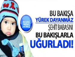 Bu yavrunun bakışı sizi kahredecek!