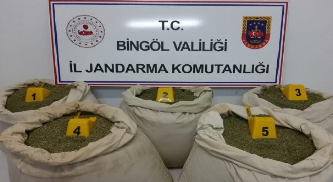 Bingöl'de 135 kilogram toz esrar ele geçirildi