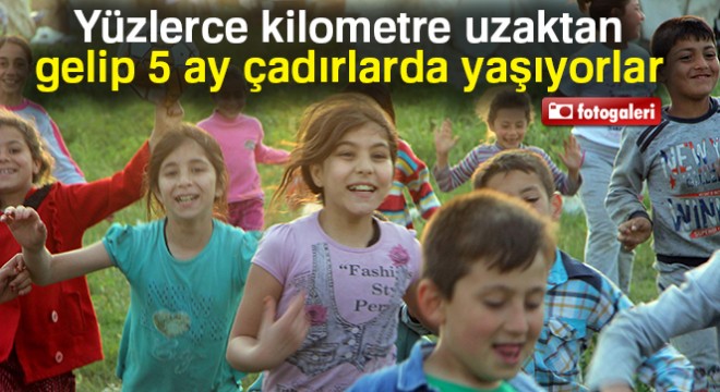 Bu çocuklar yüzlerce kilometre uzaktan gelip 5 ay çadırlarda yaşıyor