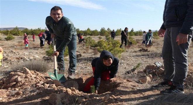 Büyükşehir Ulaşım A.Ş'den Hatay'a 700 fidan