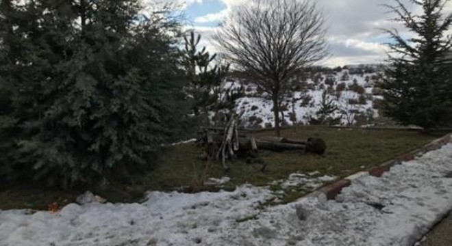 Çamlıdere'de ‘ahşap heykellere' saldırı