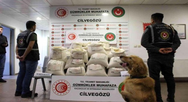 Cilvegözü Gümrük Kapısı'nda 2 milyon 422 bin adet uyuşturucu hap yakalandı