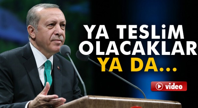 Cumhurbaşkanı Erdoğan Mardin'de halka hitap etti