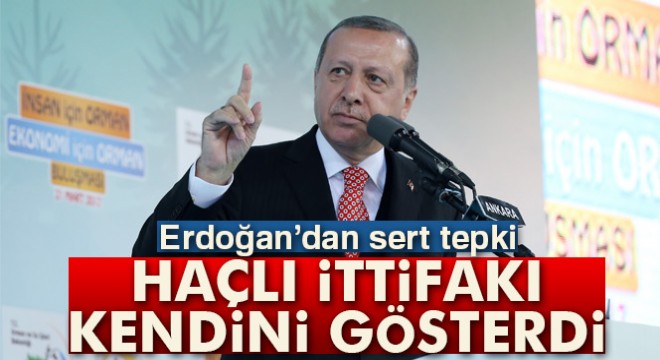 Cumhurbaşkanı Erdoğan: 'Papa ne zamandan beri AB üyesi?'