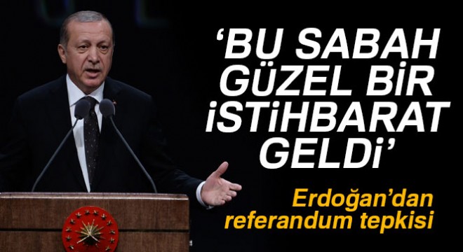 Cumhurbaşkanı Erdoğan'dan referandum tepkisi