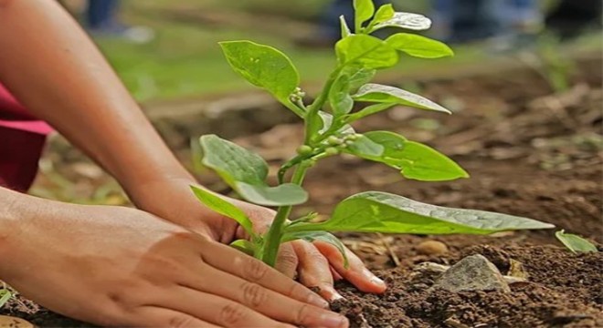 Cumhurbaşkanı Erdoğan, 11 Kasım Millî Ağaçlandırma Günü etkinliğine katıldı