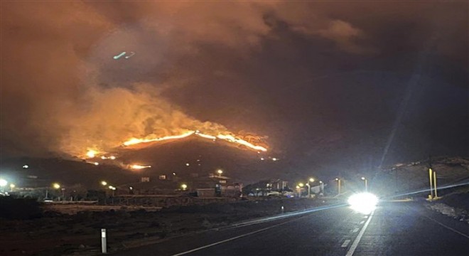 Gökçeada'da 4 noktada yangın