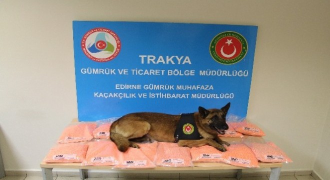 Gümrük muhafaza ekipleri uyuşturucuya geçit vermiyor