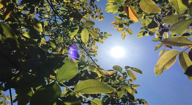 Hava sıcaklığı batı bölgelerden başlayarak artacak