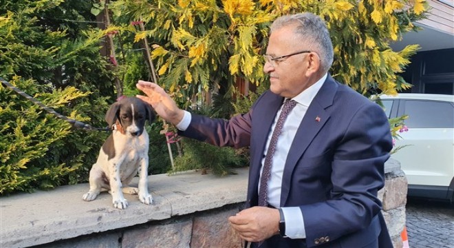 Hayvan dostu Kayseri Büyükşehir'den yeni ve modern barınak