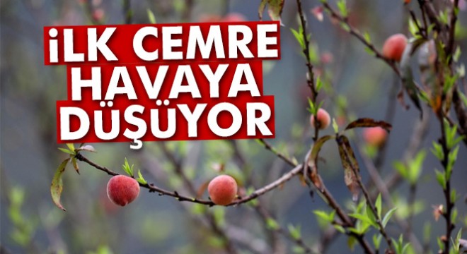 İlk cemre havaya düşüyor! Cemre nedir?
