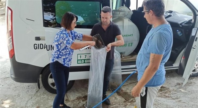 İpsala'da üretilen 9 milyon sazan yavrusu 8 ilin baraj ve göletine bırakıldı